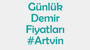 Artvin inşaat demiri fiyatları