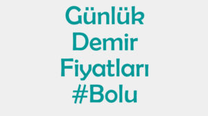Bolu inşaat demiri fiyatları