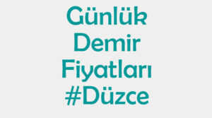 Düzce inşaat demiri fiyatları
