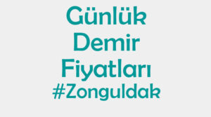 Zonguldak inşaat demiri fiyatları