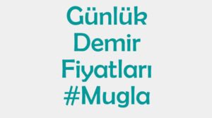 Muğla inşaat demiri fiyatları