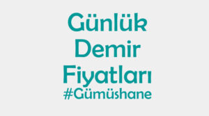 Gümüşhane inşaat demiri fiyatları